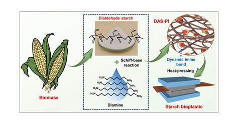 Agave - Een Duurzame Bron voor Bioplastics en Zoetstoffen!