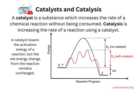  Benzylamine: Een Fundamenteel Reagentia Voor Synthese En Catalysatoren!